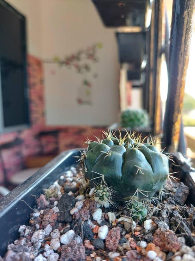 Karya Story Hostel Kudat Εξωτερικό φωτογραφία